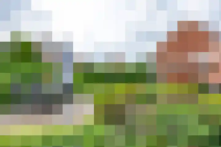 Thorbeckelaan 34 Oude Pekela thumbnail 64