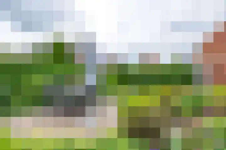 Thorbeckelaan 34 Oude Pekela thumbnail 65