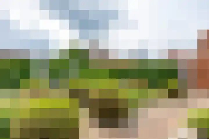 Thorbeckelaan 34 Oude Pekela thumbnail 68