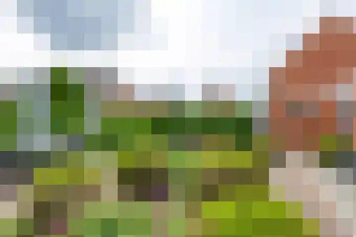 Thorbeckelaan 34 Oude Pekela thumbnail 69
