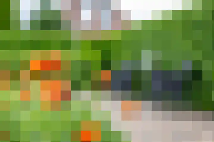 Thorbeckelaan 34 Oude Pekela thumbnail 70