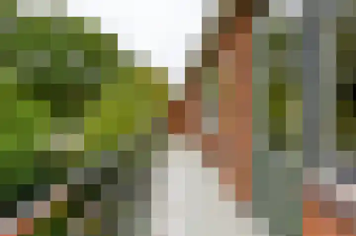 Thorbeckelaan 35 Velsen-Zuid thumbnail 30