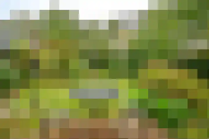 Thorbeckelaan 35 Velsen-Zuid thumbnail 31
