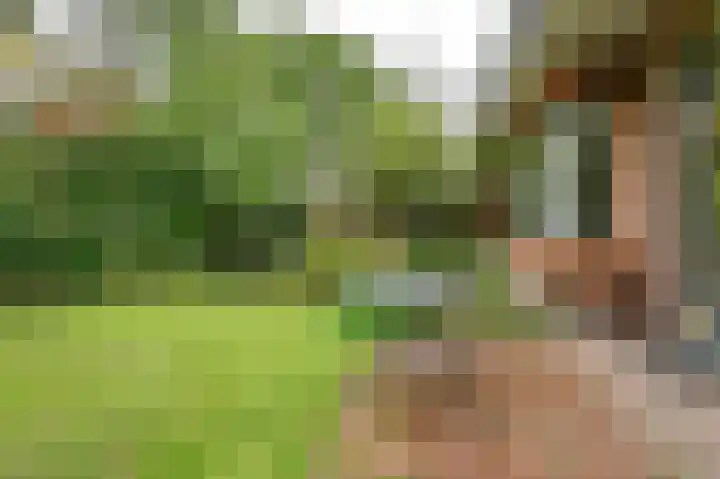 Thorbeckelaan 35 Velsen-Zuid thumbnail 32