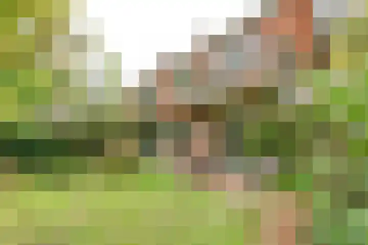 Thorbeckelaan 35 Velsen-Zuid thumbnail 33