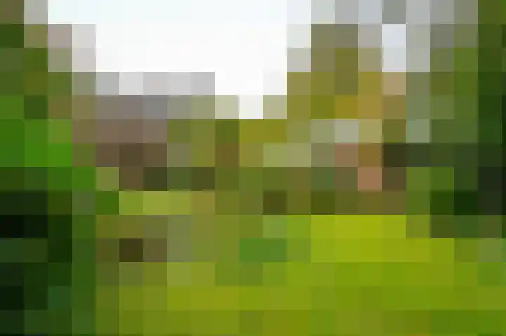Thorbeckelaan 35 Velsen-Zuid thumbnail 34