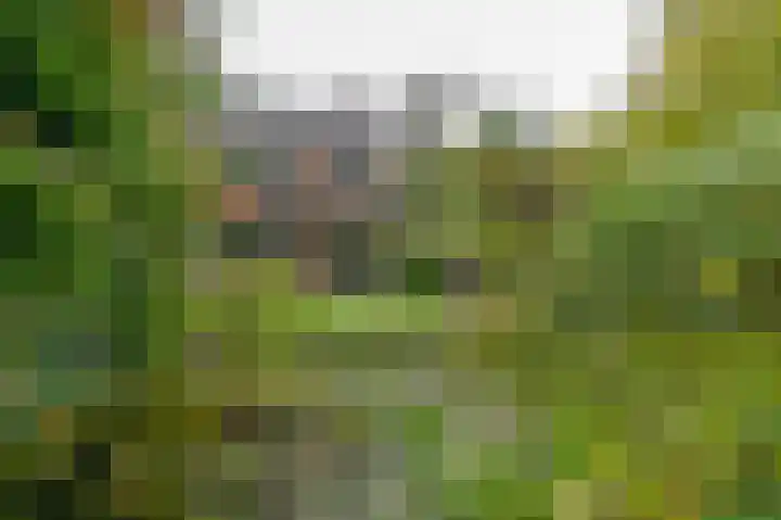 Thorbeckelaan 35 Velsen-Zuid thumbnail 35