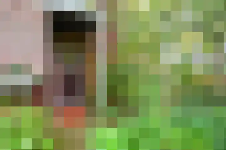 Thorbeckelaan 35 Velsen-Zuid thumbnail 36
