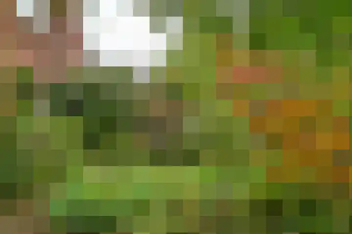 Thorbeckelaan 35 Velsen-Zuid thumbnail 37
