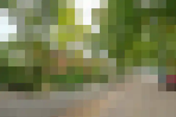 Thorbeckelaan 35 Velsen-Zuid thumbnail 38