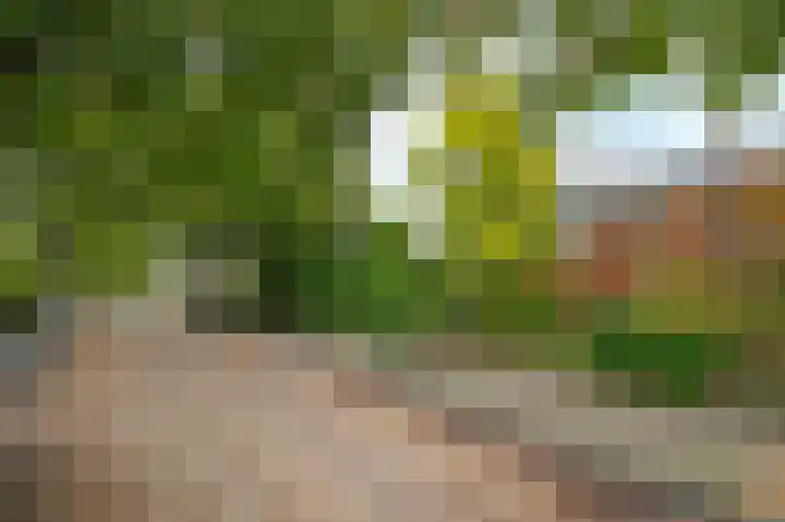 Thorbeckelaan 35 Velsen-Zuid thumbnail 39