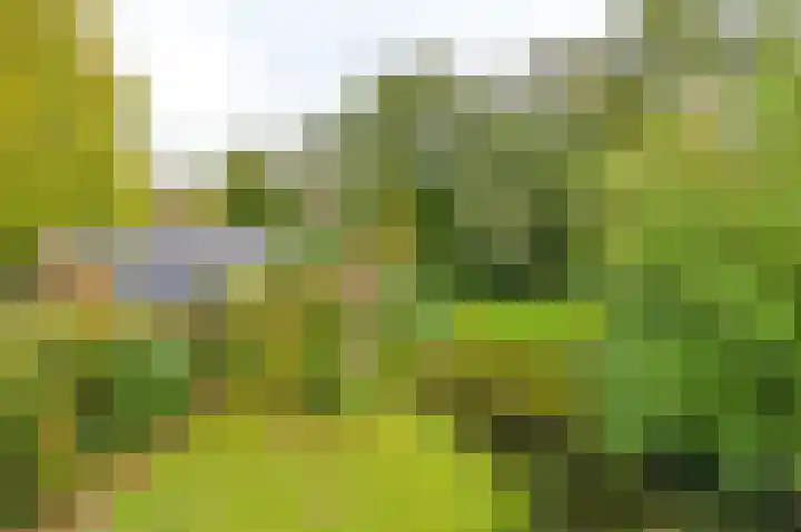 Thorbeckelaan 35 Velsen-Zuid thumbnail 4