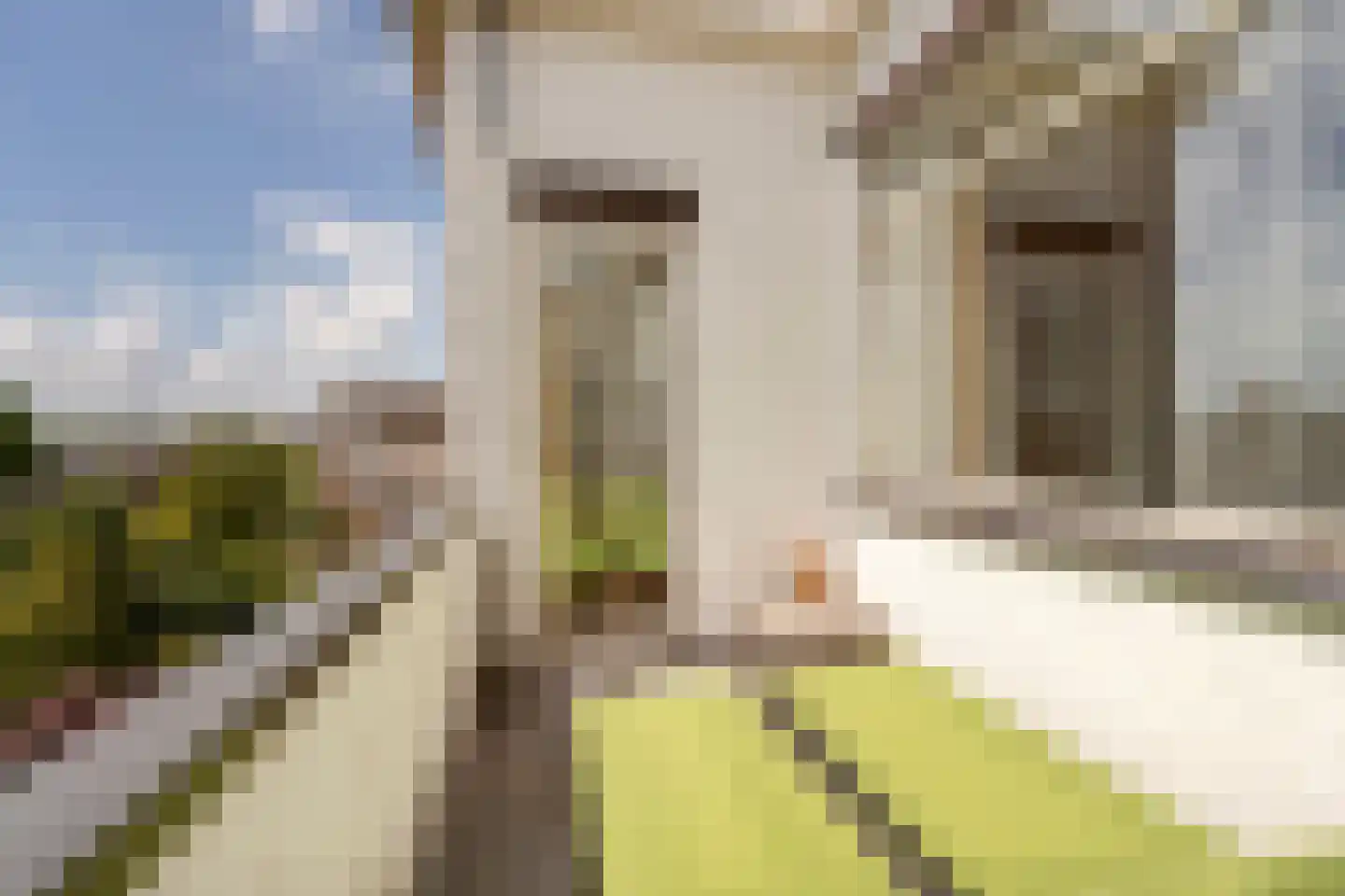 Thorbeckelaan 36 Den Haag thumbnail 40