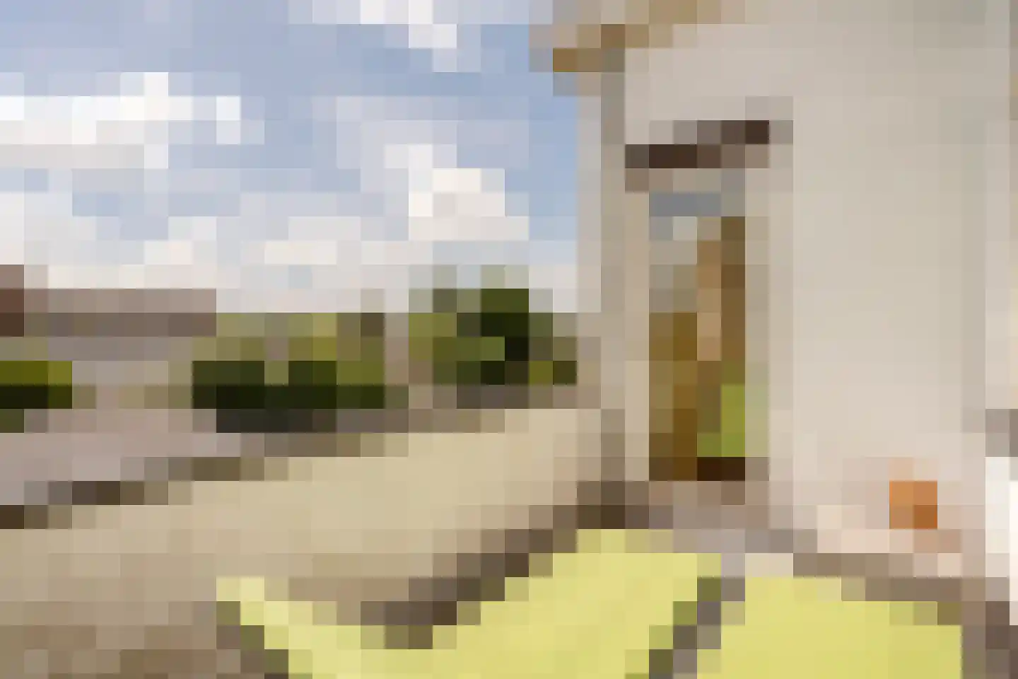 Thorbeckelaan 36 Den Haag thumbnail 41