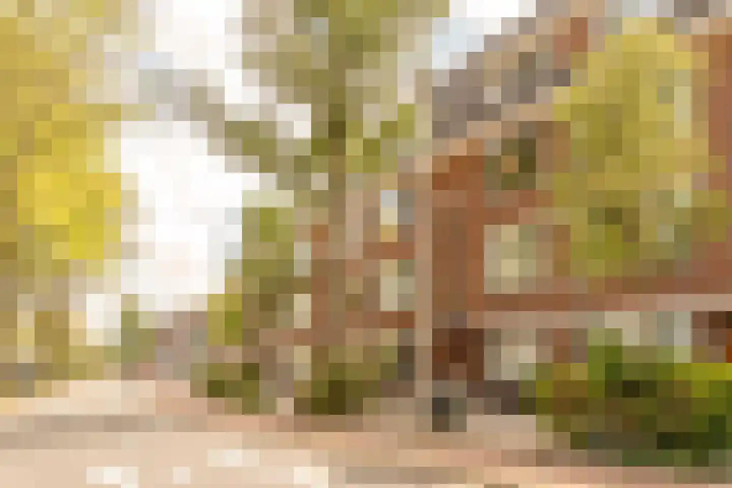 Thorbeckelaan 36 Den Haag thumbnail 42