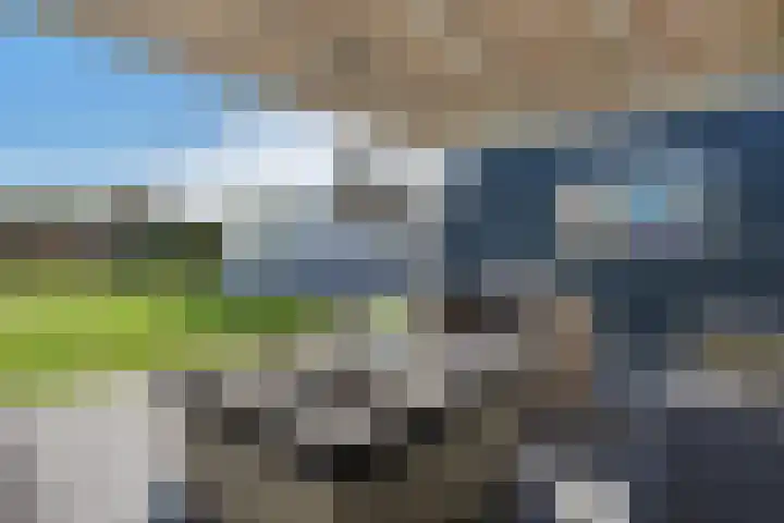 Thorbeckelaan 36 Vlissingen thumbnail 25