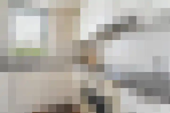 Thorbeckelaan 36 Vlissingen thumbnail 7