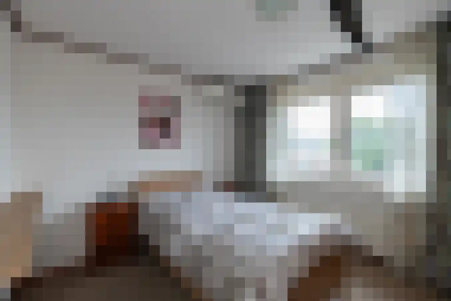Thorbeckelaan 37 Sliedrecht thumbnail 12