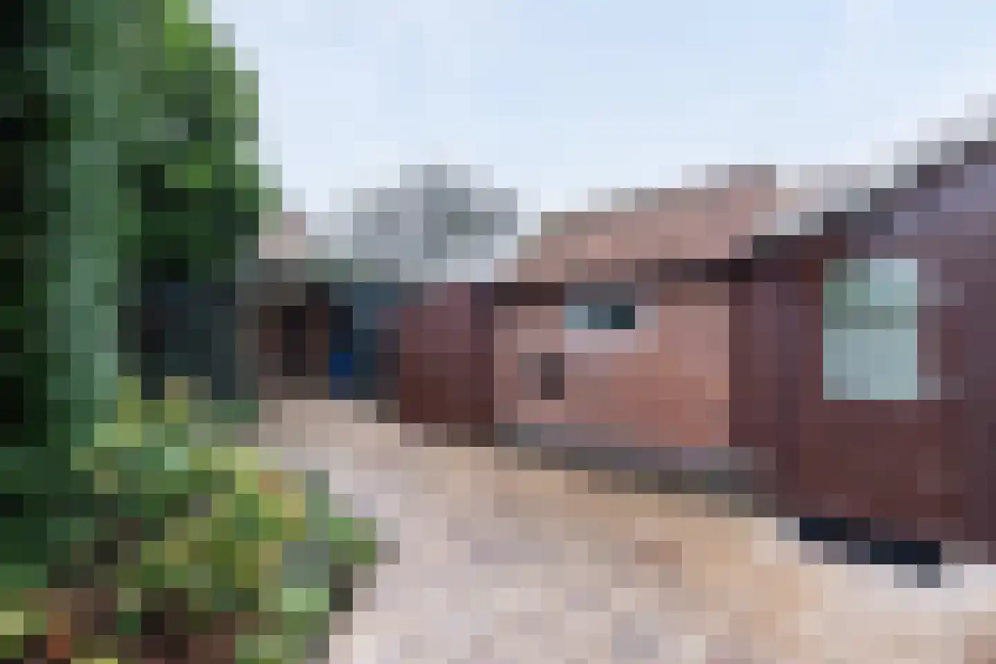Thorbeckelaan 37 Sliedrecht thumbnail 16