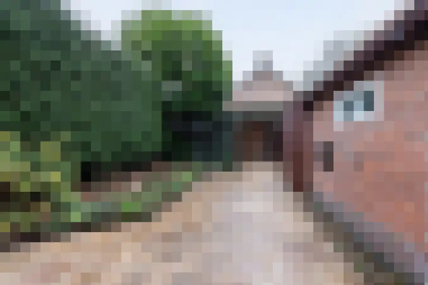 Thorbeckelaan 37 Sliedrecht thumbnail 4