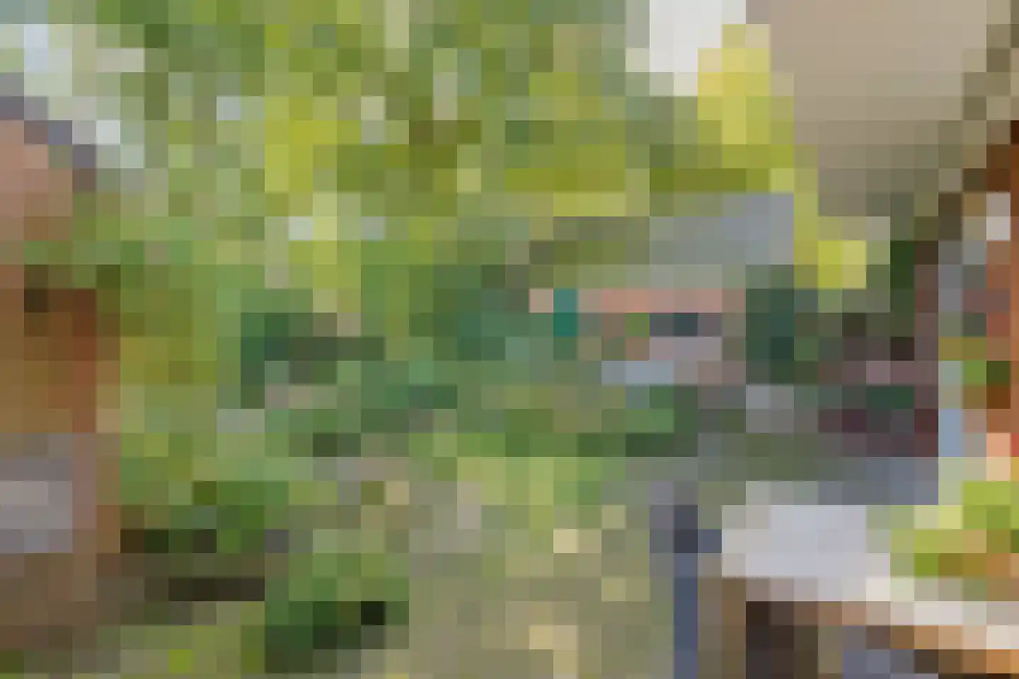 Thorbeckelaan 37 Velsen-Zuid thumbnail 28