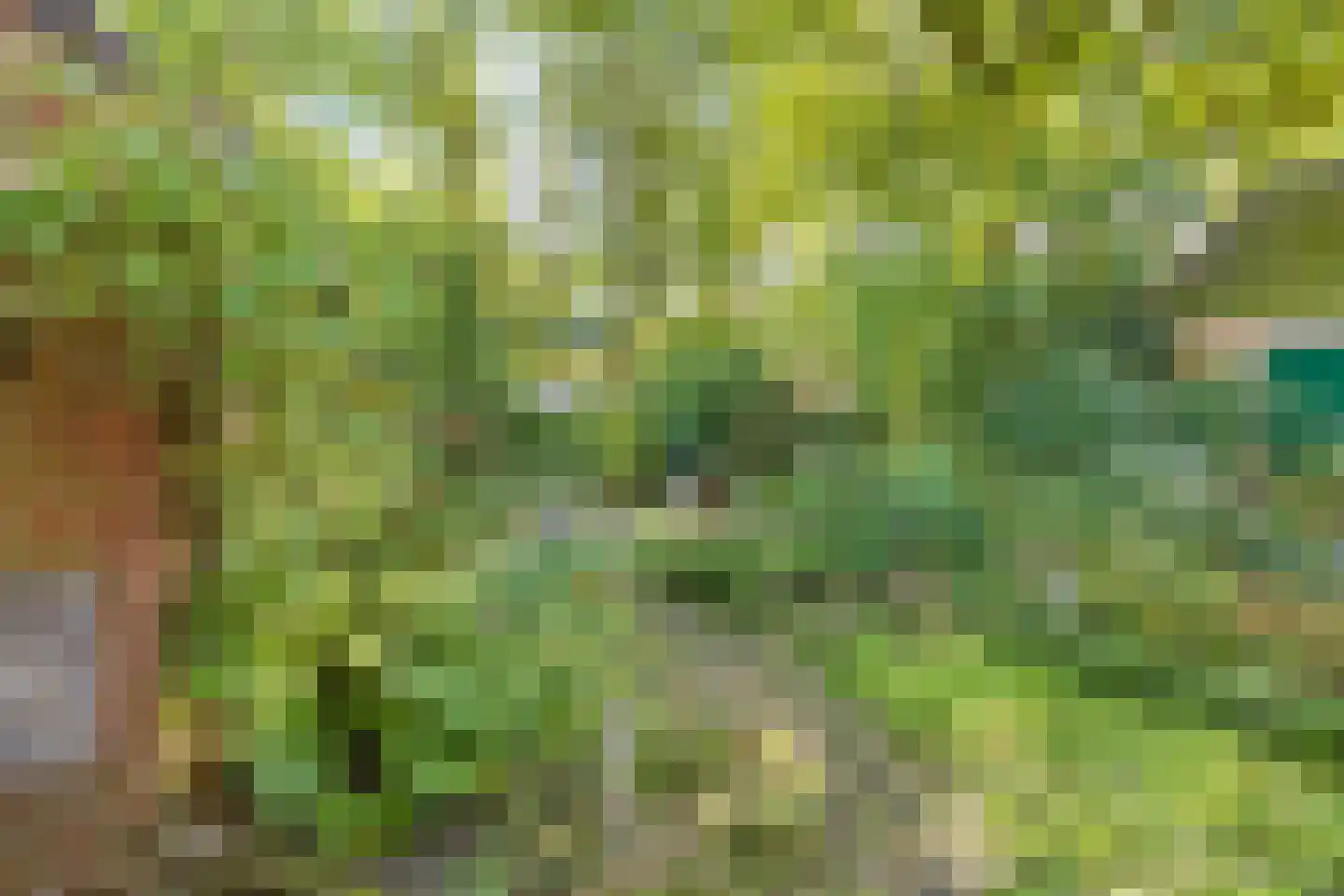 Thorbeckelaan 37 Velsen-Zuid thumbnail 29