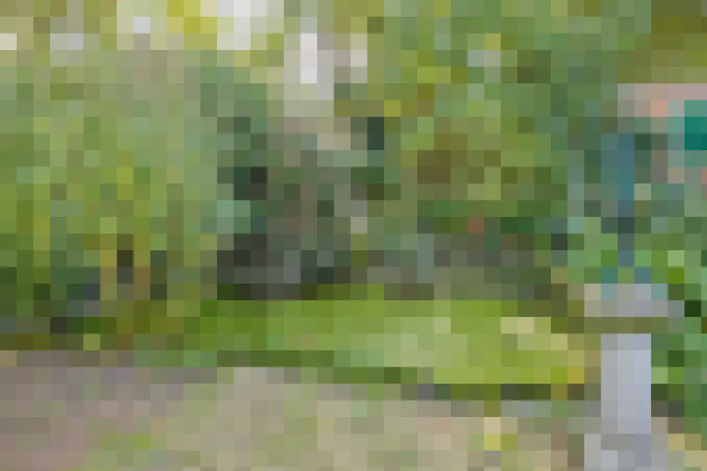 Thorbeckelaan 37 Velsen-Zuid thumbnail 36