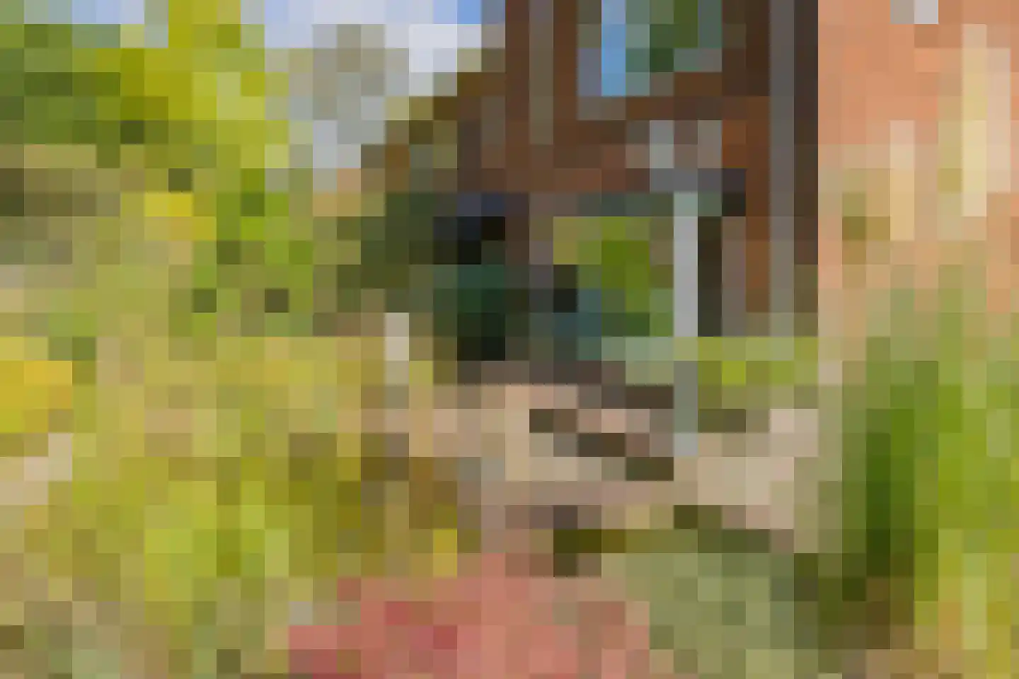 Thorbeckelaan 37 Velsen-Zuid thumbnail 4