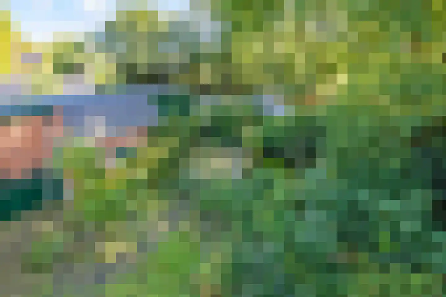 Thorbeckelaan 37 Velsen-Zuid thumbnail 44
