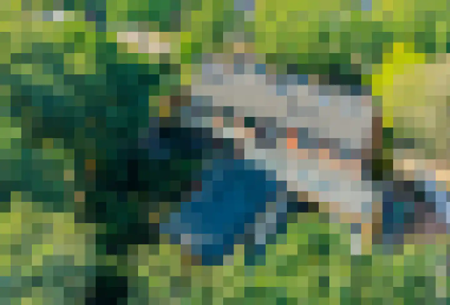 Thorbeckelaan 37 Velsen-Zuid thumbnail 57