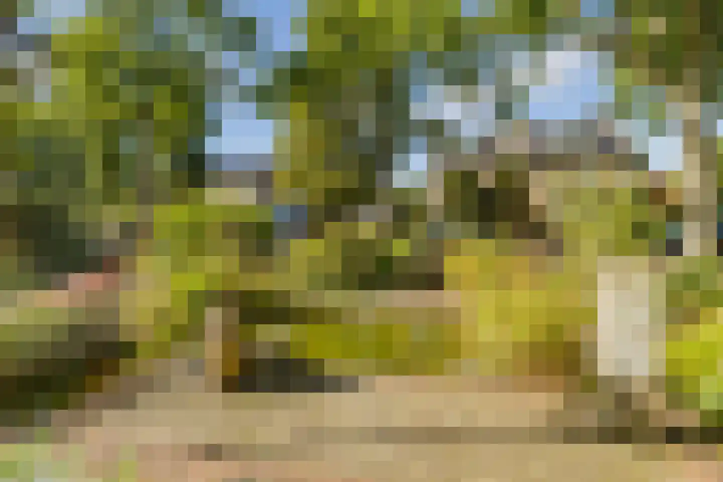 Thorbeckelaan 37 Velsen-Zuid thumbnail 9