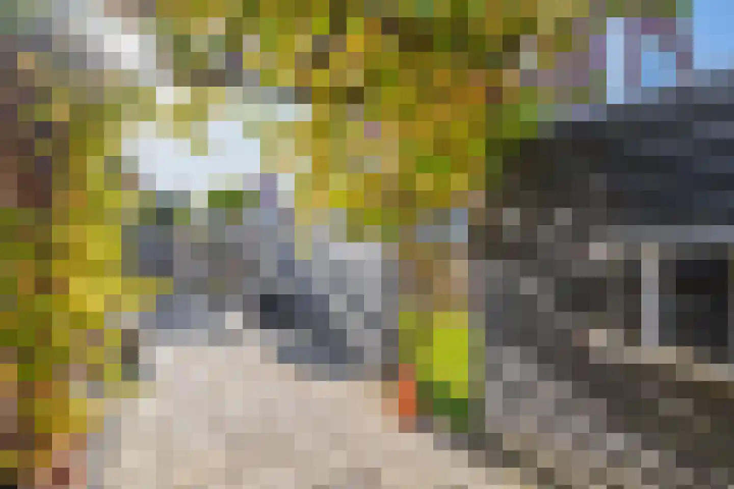 Thorbeckelaan 39 Oude Pekela thumbnail 33