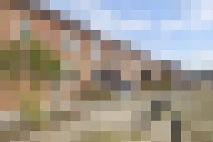 Thorbeckelaan 39 Spijkenisse thumbnail 27