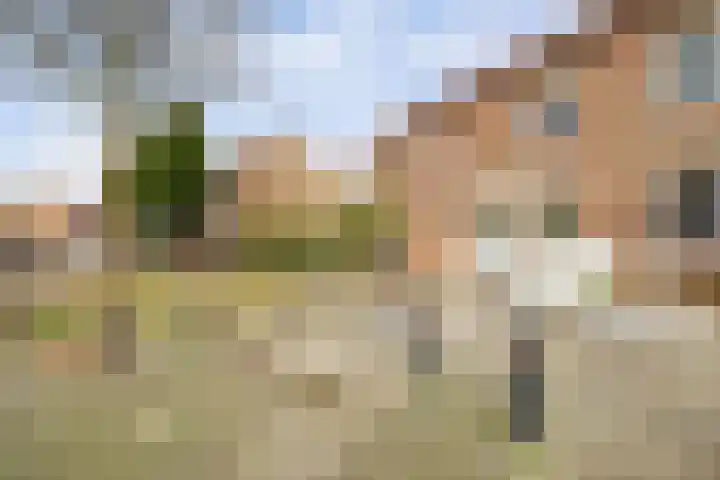 Thorbeckelaan 39 Spijkenisse thumbnail 28