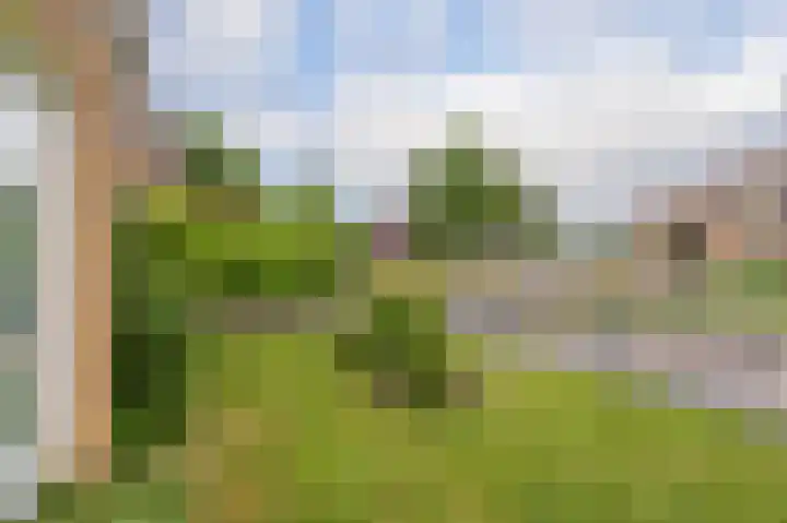 Thorbeckelaan 4 Assen thumbnail 11
