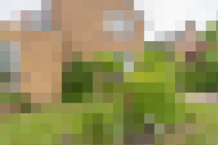 Thorbeckelaan 4 Assen thumbnail 12
