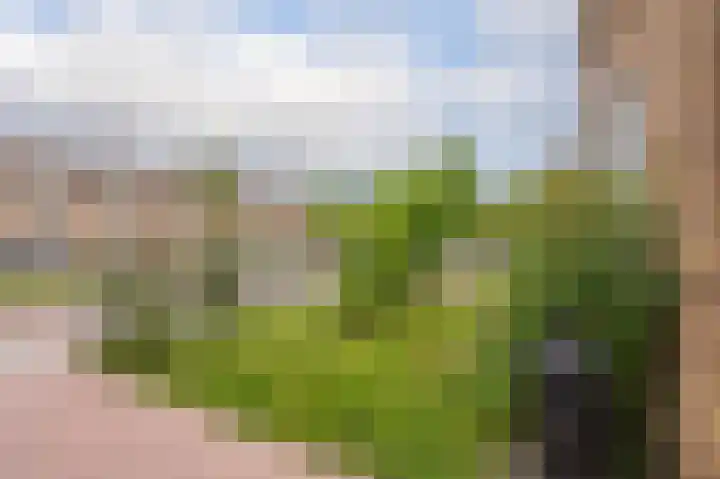 Thorbeckelaan 4 Assen thumbnail 13