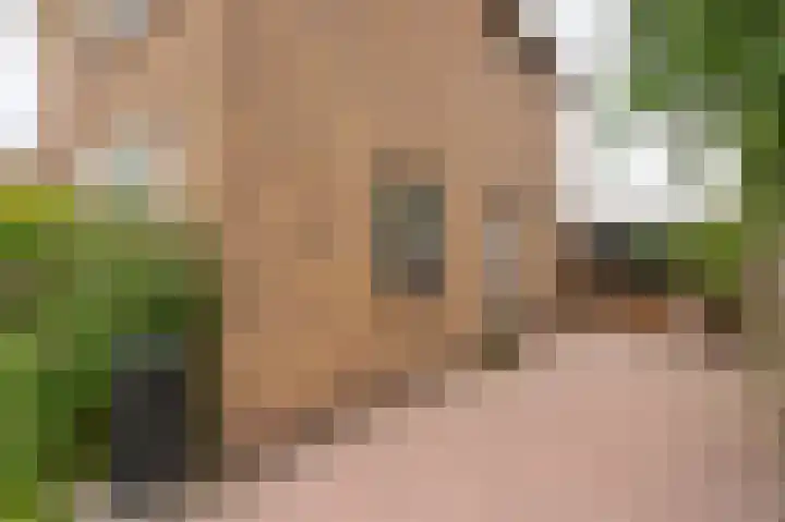Thorbeckelaan 4 Assen thumbnail 14