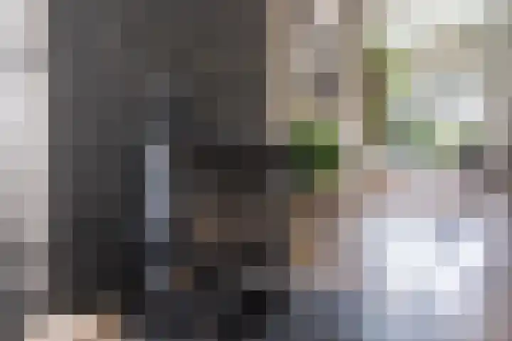 Thorbeckelaan 4 Assen thumbnail 22