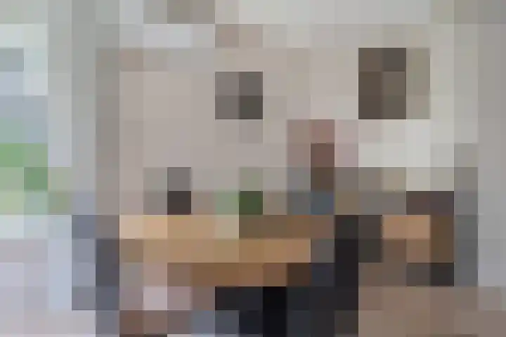 Thorbeckelaan 4 Assen thumbnail 24