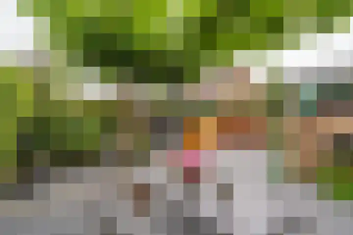 Thorbeckelaan 4 Assen thumbnail 41