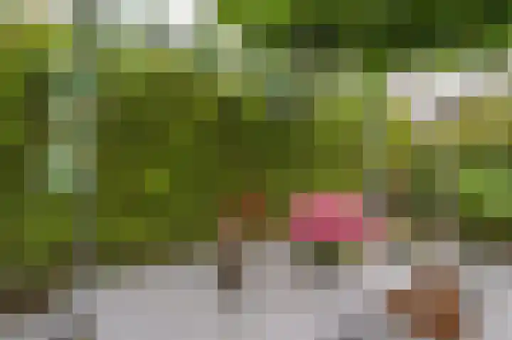 Thorbeckelaan 4 Assen thumbnail 42