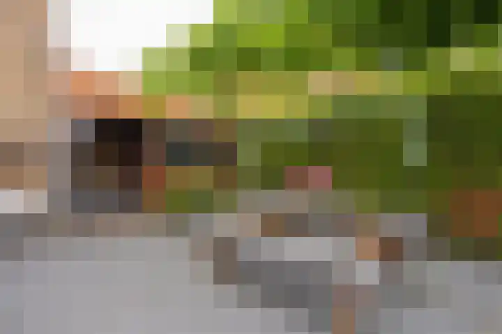 Thorbeckelaan 4 Assen thumbnail 43