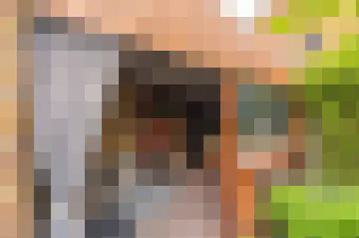 Thorbeckelaan 4 Assen thumbnail 45