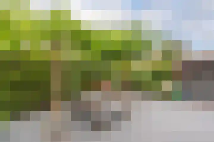 Thorbeckelaan 4 Assen thumbnail 49