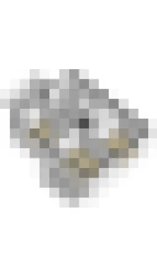 Thorbeckelaan 4 Assen thumbnail 63