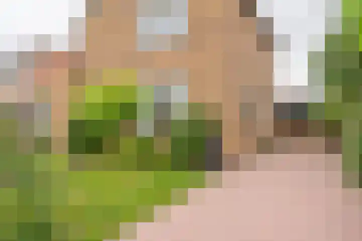 Thorbeckelaan 4 Assen thumbnail 9
