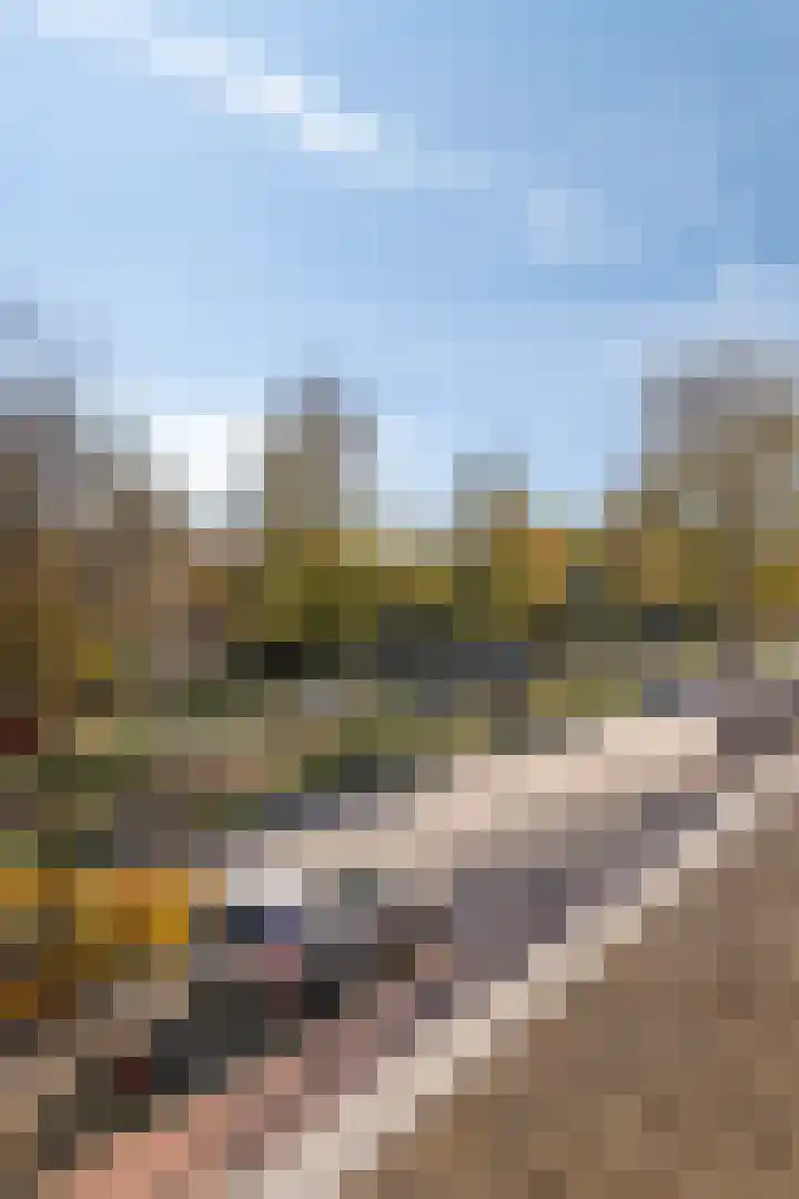 Thorbeckelaan 4 Den Haag thumbnail 22
