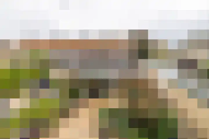 Thorbeckelaan 4 Hillegom thumbnail 30