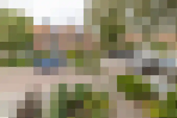 Thorbeckelaan 4 Hillegom thumbnail 31